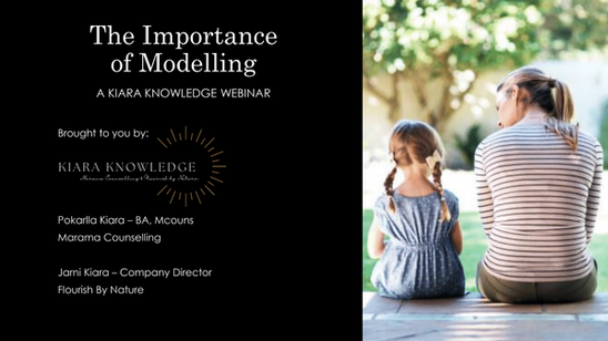 The Importance of Modelling